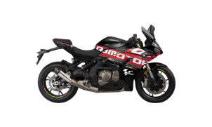 QJ MOTOR SRK 600 RC